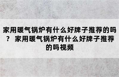 家用暖气锅炉有什么好牌子推荐的吗？ 家用暖气锅炉有什么好牌子推荐的吗视频